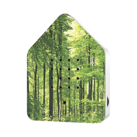 ENTSPANNENDE ZWITSCHER BOX SONDEREDITION WALD