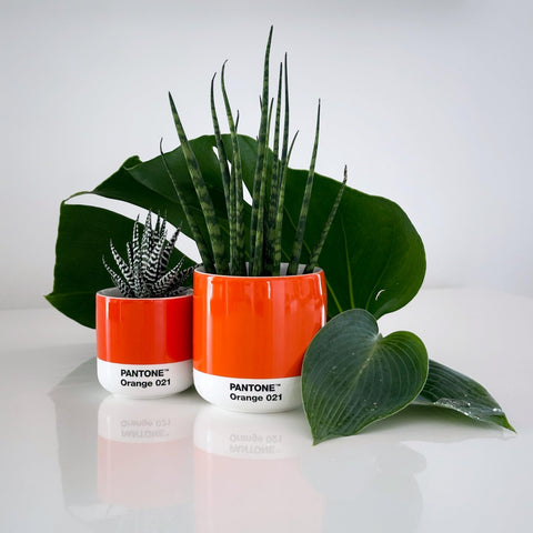 TAZZA PANTONE CORTADO THERMOBECHER 101060021 KOPENHAGEN DESIGN ORANGE