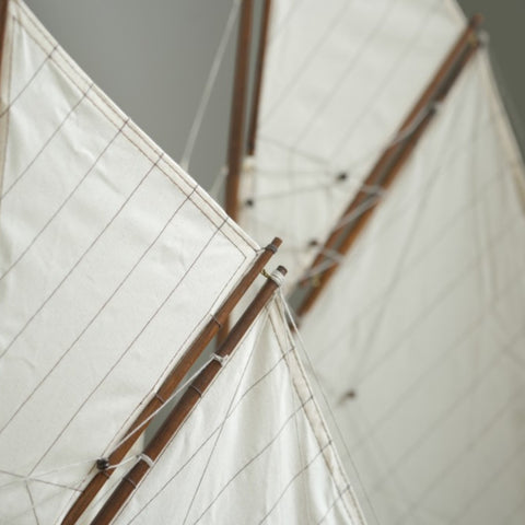 AMERICA'S CUP COLUMBIA MEDIUM AS076F AUTHENTISCHE MODELLE