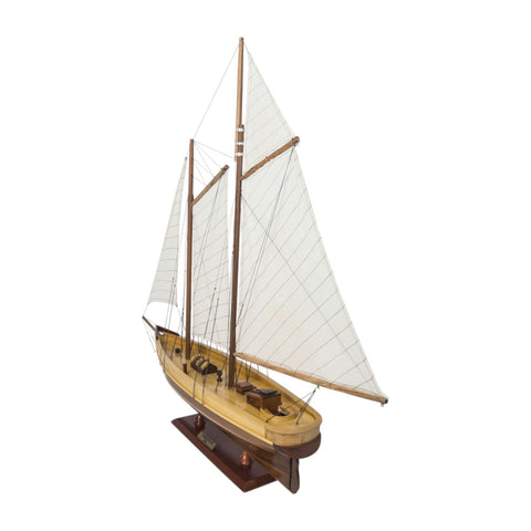 AMERICA SMALL AS137 AUTHENTISCHE MODELLE