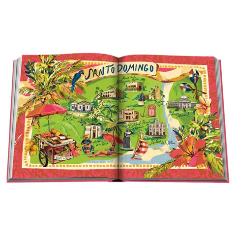 BUCHEN SIE SANTO DOMINGO ASSOULINE PINK