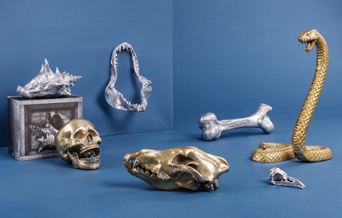 SELETTI WUNDERKAMMER MENSCHLICHER SCHÄDEL 10891