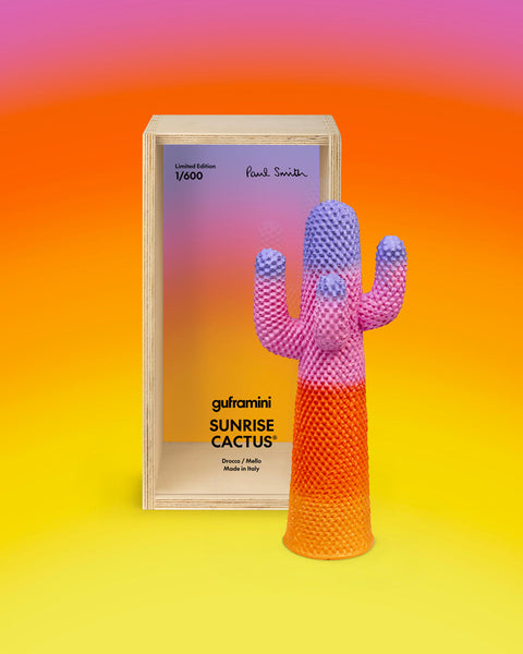 CACTUS SUNRISE GUFRAMINI M01151 GUFRAM MEHRFARBIG