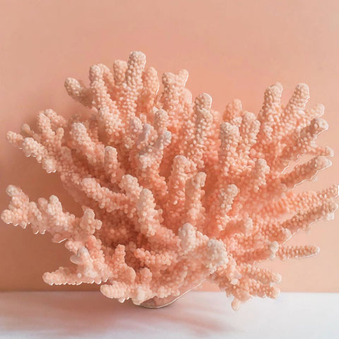BOTTIGLIA 1.2 LT CORAL ART. 27609 BALVI