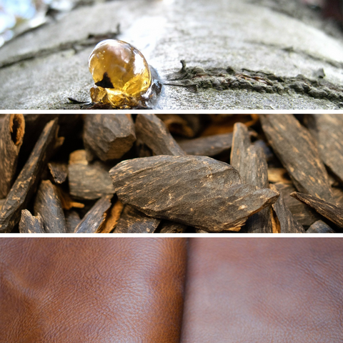 LEATHER OUD 5000 ML DR. VRANJES