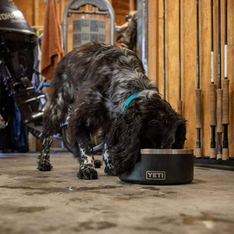 DOG BOWL BOOMER YETI BLACK