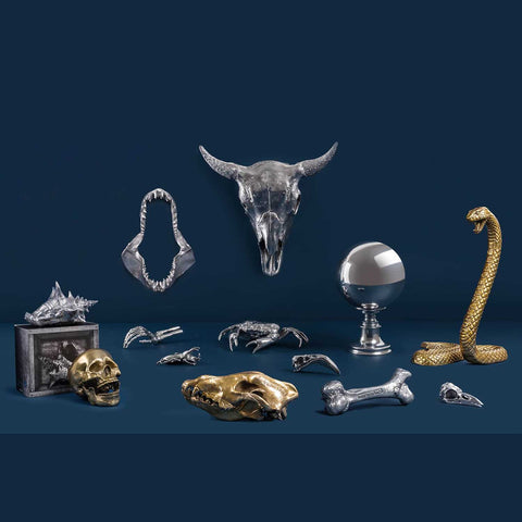 SELETTI WUNDERKAMMER BISON-SCHÄDEL 10899