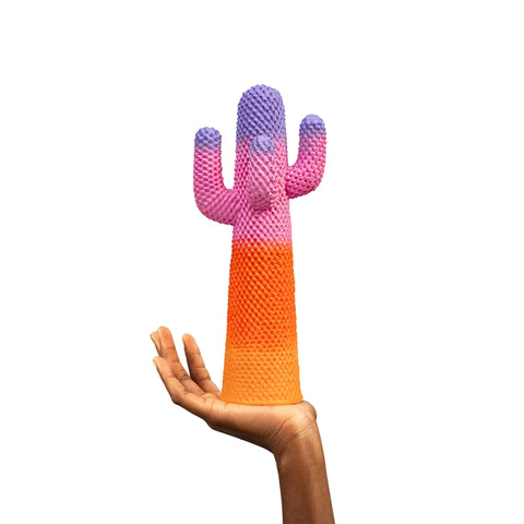 CACTUS SUNRISE GUFRAMINI M01151 GUFRAM MEHRFARBIG