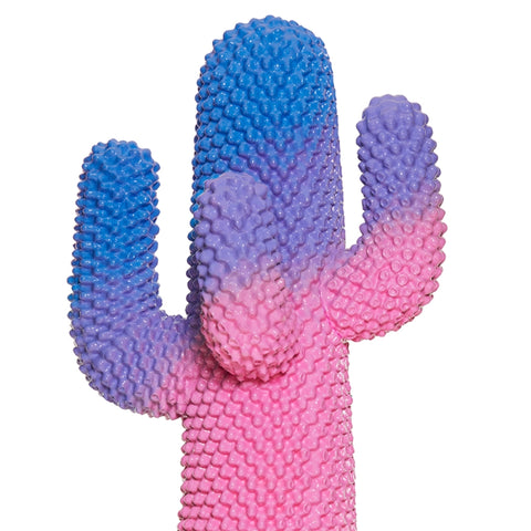 CACTUS SUNRISE GUFRAMINI M01151 GUFRAM MEHRFARBIG