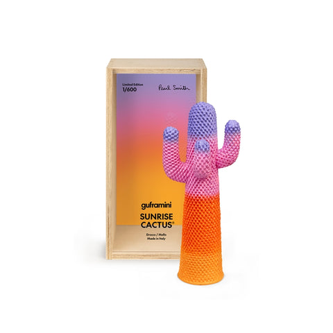 CACTUS SUNRISE GUFRAMINI M01151 GUFRAM MEHRFARBIG