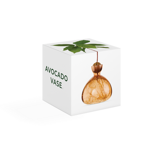 VASI AVOCADO SWEET APRICOT ART. 003-11 ILEX STUDIO ORANGE