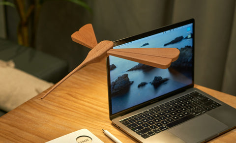 GINGKO DRAFONFLIGHT BALANCE LIGHT NATURAL AHORNHOLZ BRAUN
