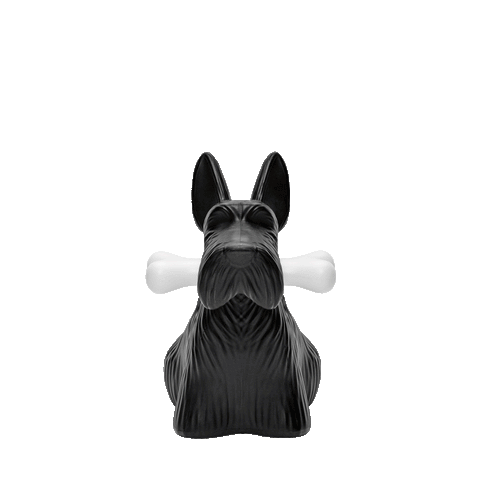 SCOTTIE LAMPADA QEEBOO BLACK