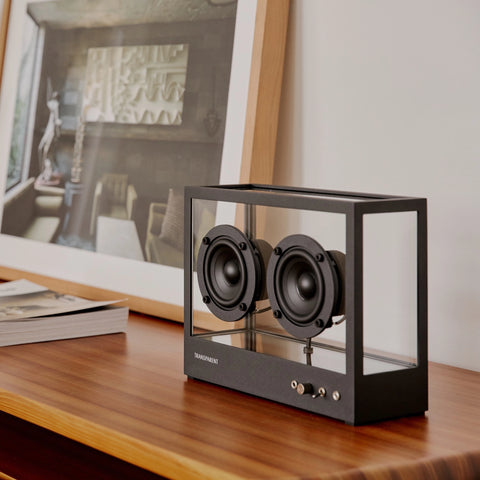 LAUTSPRECHER TR. AUDIO KLEIN TRANSPARENT SCHWARZ