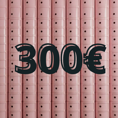Budget 300€