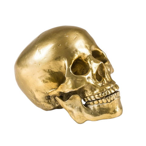 SELETTI WUNDERKAMMER MENSCHLICHER SCHÄDEL 10891