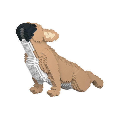 JEKCA FRANZÖSISCHE BULLDOGGE 05S-M01