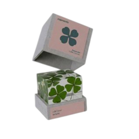 FLOWERCUBE NR. 04 KLEE ART. M01-CLO MOMENT