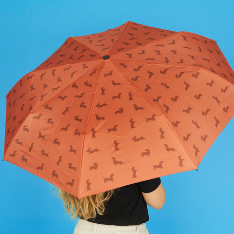 OMBRELLO TECKEL CON CUSTODIA 28199 BROWN BALVI