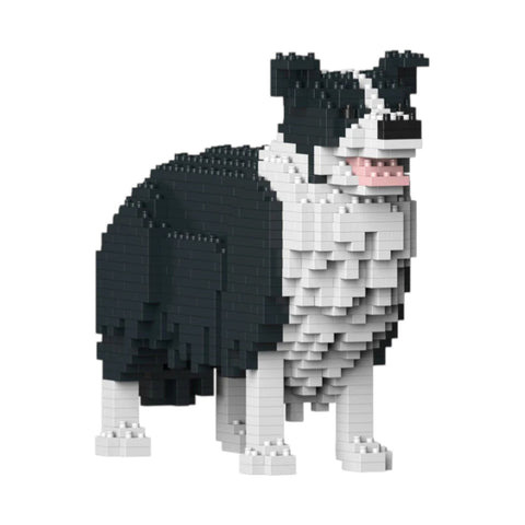 COSTRUZIONI BORDER COLLIE 01S-M01 JEKCA