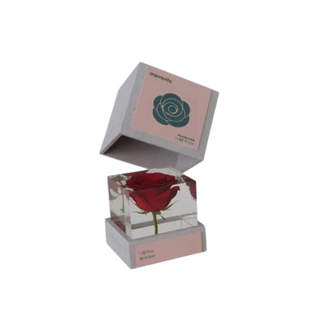FLOWERCUBE NR. 02 ROSE ART. M01-ROS MOMENTO