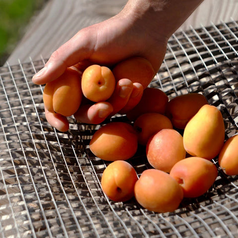 CENTROTAVOLA  GRAVITY GRV-CPC SILVER FUNDAMENTAL BERLIN