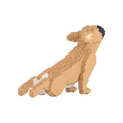 JEKCA FRANZÖSISCHE BULLDOGGE 05S-M01