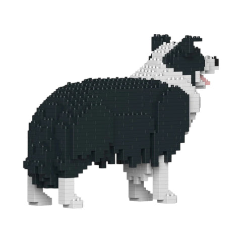 COSTRUZIONI BORDER COLLIE 01S-M01 JEKCA