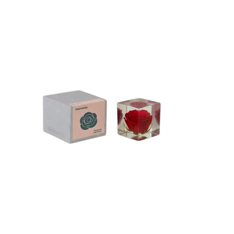 FLOWERCUBE NR. 02 ROSE ART. M01-ROS MOMENTO