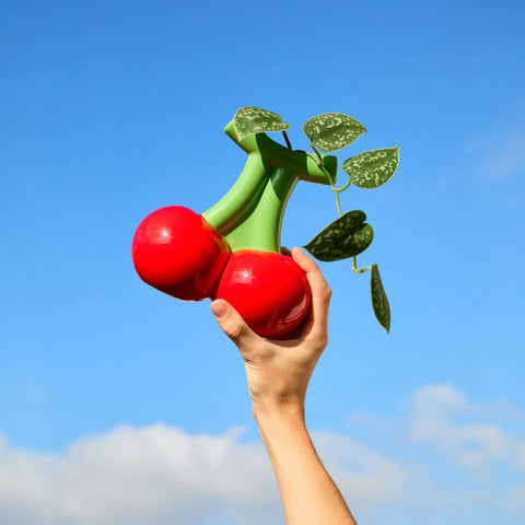 VASO CHERRY 691390 RED FLUID MARKET