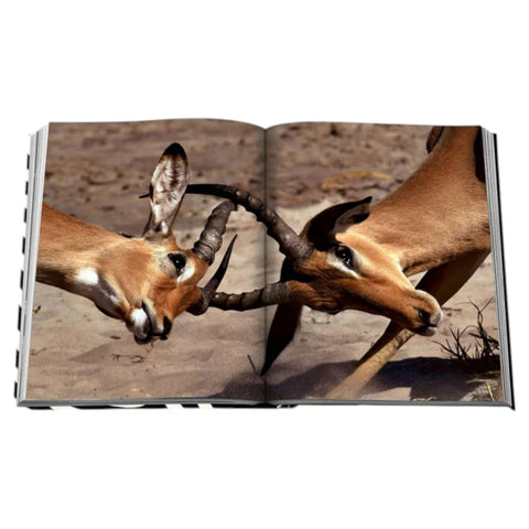 LIBRO AFRICAN ADVENTURES : THE GREATEST SAFARI ON EARTH ASSOULINE MULTICOLOR
