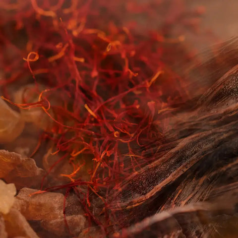 REFILL FRAGRANZA AMBIENTE MIRRA ZAFFERANO 25000ML DR. VRANJES