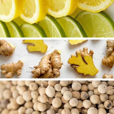 FRAGRANZA PER AMBIENTE 500 ML GINGER LIME DR. VRANJES