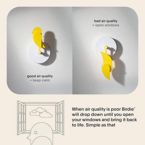 CA1-100 FRESH AIR MONITOR YELLOW BIRDIE