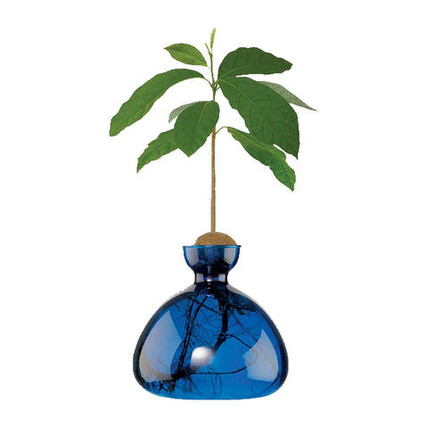 AVOCADO VASE LAPISBLAU ART. 003-6 ILEX STUDIO 
