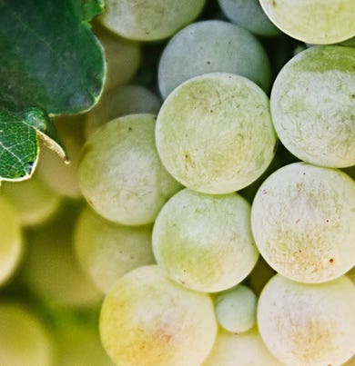 "ENVIRONMENT FRAGRANCE DR. VRANJES SPRY 100 ML BELLINI"