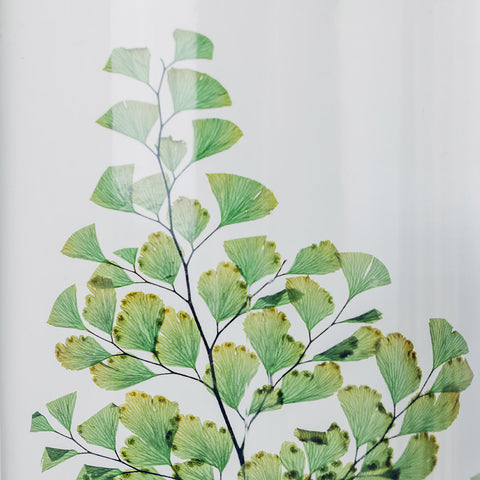 HERBARIUM H 21 CM FOUGERE LUTHI GREEN CYLINDER THEOPHILE BERTON GREEN