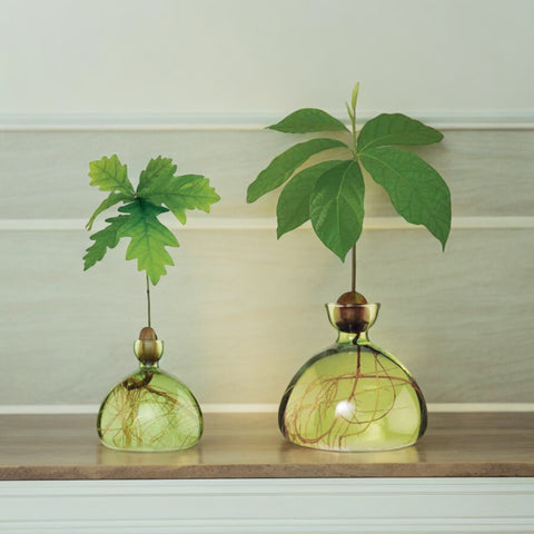 ILEX STUDIO TÖPFE AVOCADO GRASGRÜN ART. 003-9