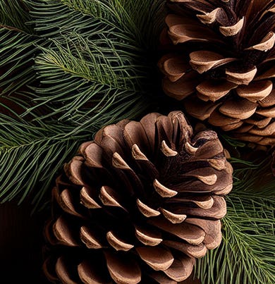 DR. VRANJES FRAGRANZA AMBIENTE 250 ML ALBERO DI NATALE