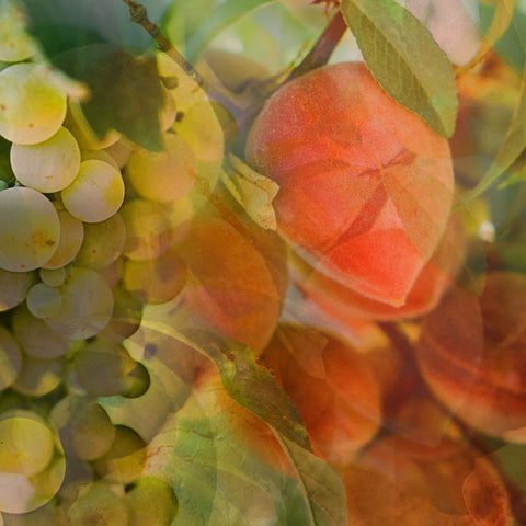 "ENVIRONMENT FRAGRANCE DR. VRANJES SPRY 100 ML BELLINI"