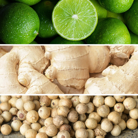 Ingwer-Limetten-Kerze 3 kg Pearl 2.0 Dr. Vranjes