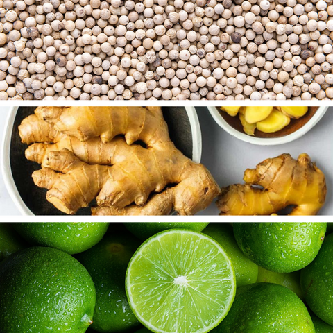 LAMPARFUM NACHFÜLLUNG 500 ML GINGER LIME DR. VRANJES