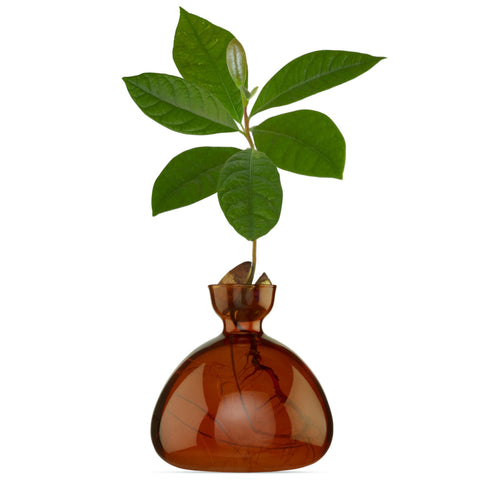 VASI AVOCADO RUSSET BROWN ART. 003-8 ILEX STUDIO BROWN