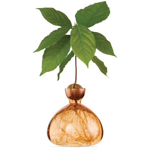 VASI AVOCADO SWEET APRICOT ART. 003-11 ILEX STUDIO ORANGE