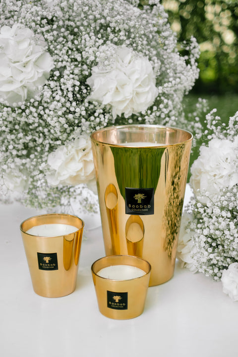 BAOBAB-KERZE MAX 24 AURUM MAX24AU