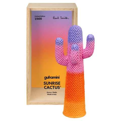 CACTUS SUNRISE GUFRAMINI M01151 GUFRAM MEHRFARBIG