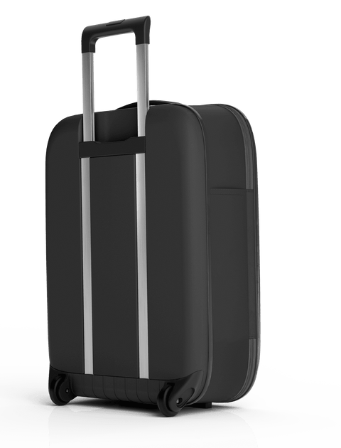 TROLLEY ROLLINK FLEX VEGA KABINENGROSSE INT 21 SCHWARZ 2 RÄDER 
