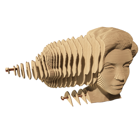 CARTONIC 3D-PUZZLE MONROE