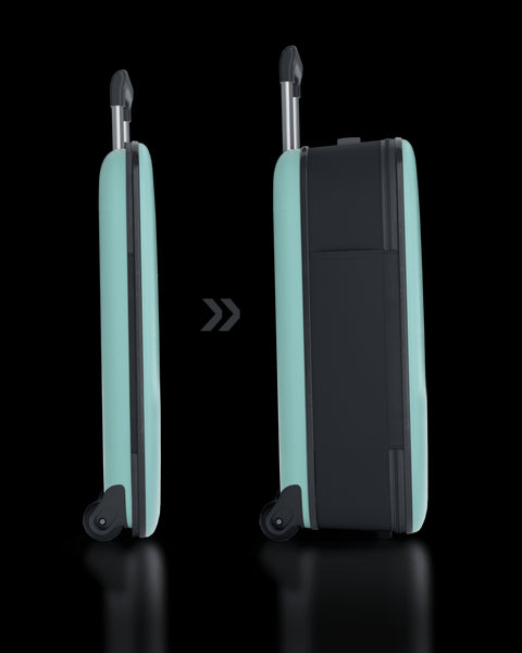 TROLLEY ROLLINK FLEX VEGA KABINE GRÖSSE INT 21AQUIFER 2 RÄDER 