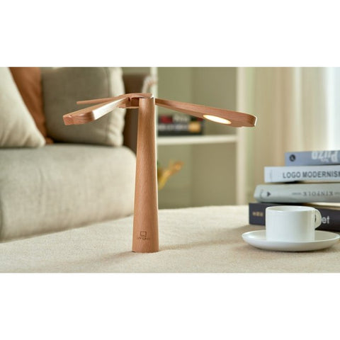 GINGKO DRAFONFLIGHT BALANCE LIGHT NATURAL AHORNHOLZ BRAUN